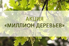 Согласованы места посадок деревьев и кустарников в рамках акции «Миллион деревьев»