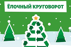 «Елочный круговорот»